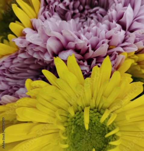 bouquet of flowers