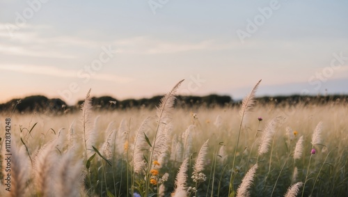 Golden Fields of Grass and Wildflowers at Sunset. photo