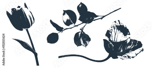 Grunge overprint flower stamp set with ink effect. Hand-drawn abstract floral and botanical elements in black and white.