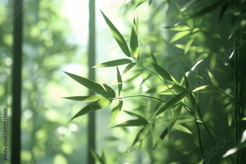 Sunlight filtering through bamboo leaves beside a window in a serene indoor s...