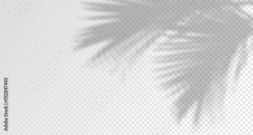 Glare from the sun's rays on the wall. Blurred shadows from leaves and plants in the room. Soft overlay of natural light. Abstract background for product presentation.Natural light layout.