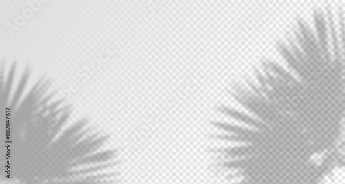 Glare from the sun's rays on the wall. Blurred shadows from leaves and plants in the room. Soft overlay of natural light. Abstract background for product presentation.Natural light layout.