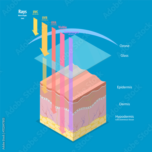 3D Isometric Flat Vector Illustration of Damage UV Radiation to Human Skin, Skincare and Beauty