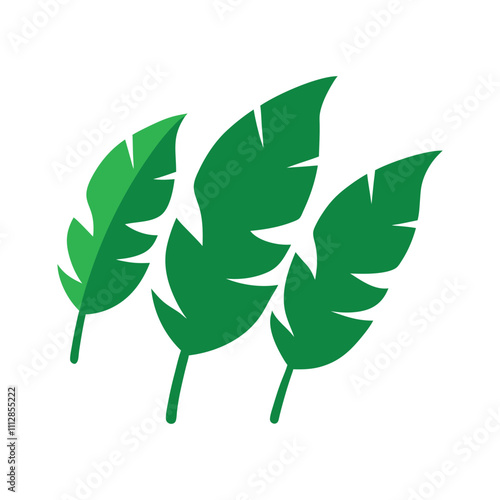 Tropical Green Banana Leaf Outline.