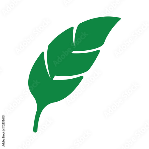 Tropical Green Banana Leaf Outline.