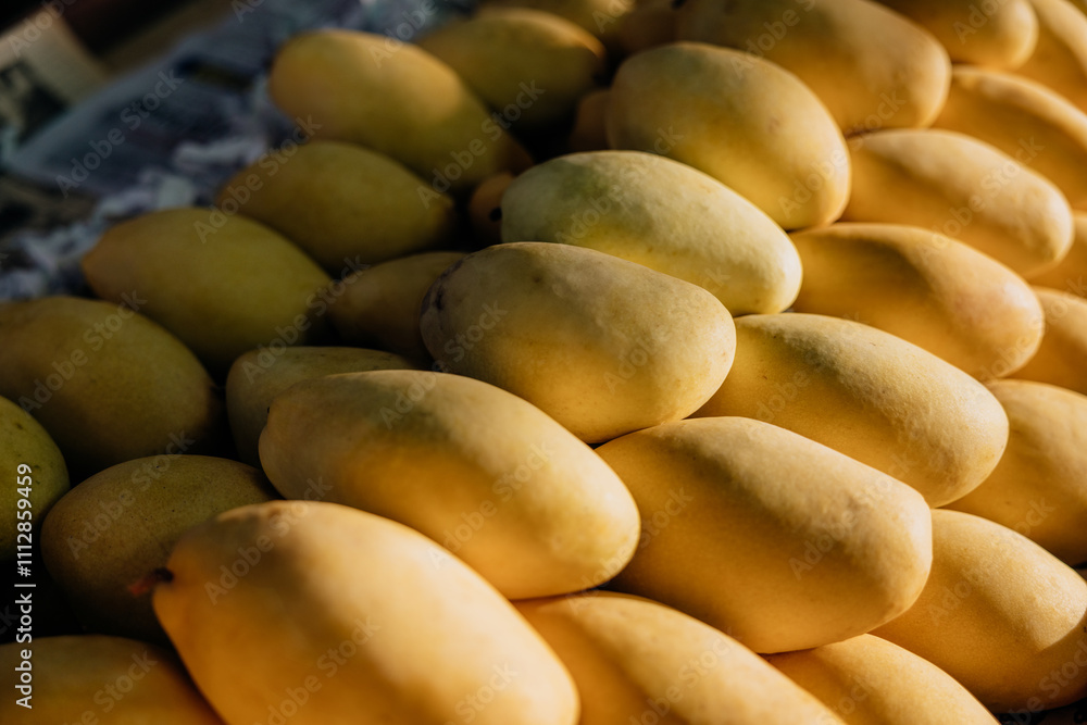 Mango Fruit Mango Fruit