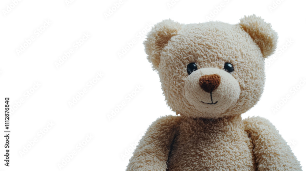 Fototapeta premium Plush bear transparent background