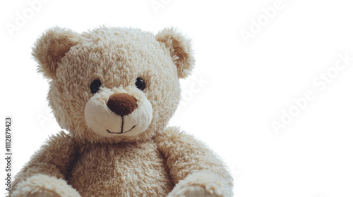 Plush bear transparent background
