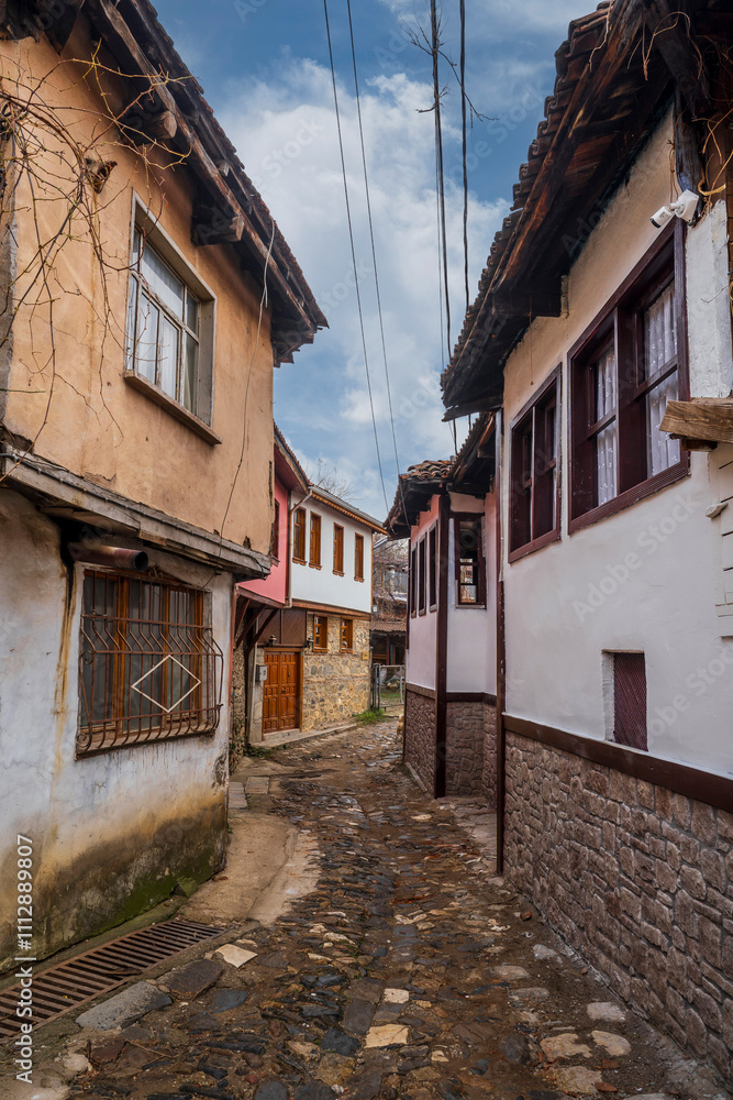 Fototapeta premium The Cumalikizik Village street view in Bursa City of Turkey