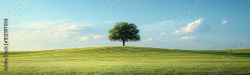 Lone tree standing on a grassy hill