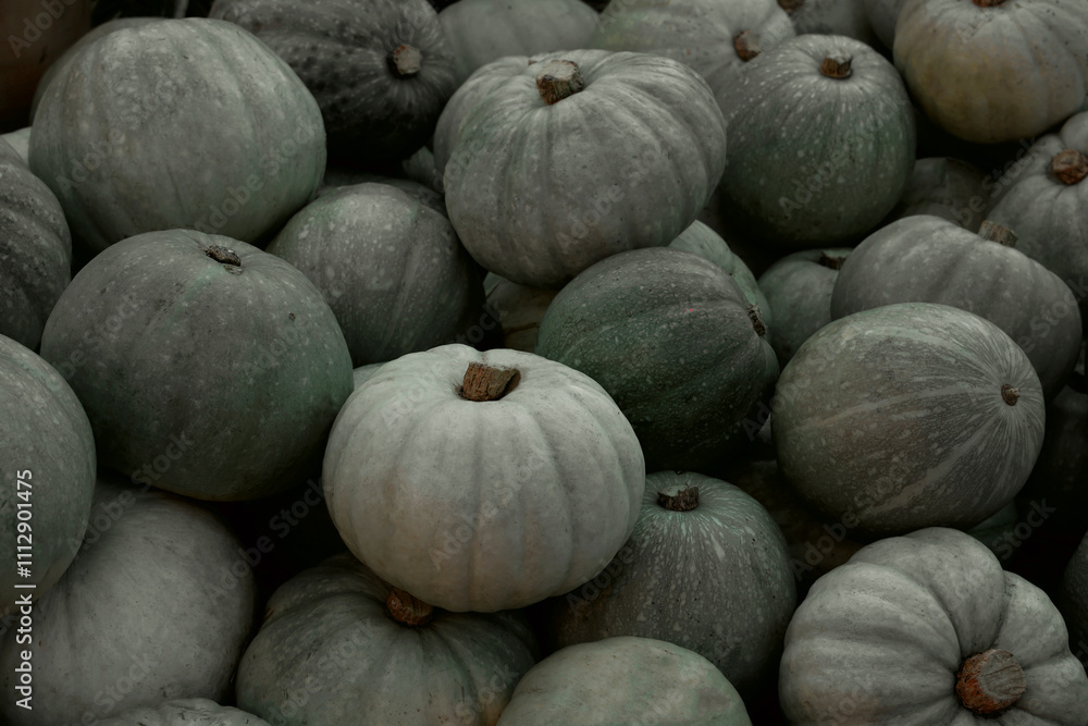 food vegetable background. pile of ripe green orange pumpkins lie on hay and ground. Fall harvest season. seasonal crop. food vegetable background. pile of ripe green orange pumpkins lie on hay and ground. Fall harvest season. seasonal crop.