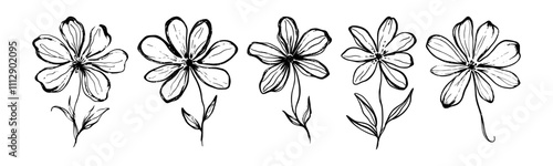 Ink flowers. Hand drawn brush daisy flower with rough brush stroke texture. Black paint chamomiles in naive primitive drawing kids style. Vector isolated floral set