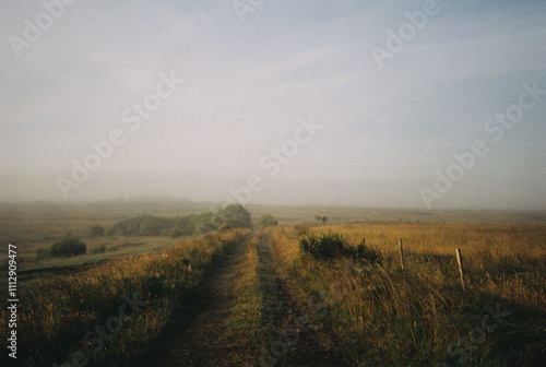 Misty morning in the field photo