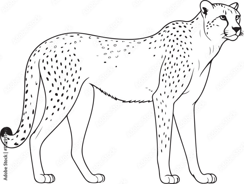 Powerful Leopard Illustration - Wildlife Line Art Sketch Powerful Leopard Illustration - Wildlife Line Art Sketch
