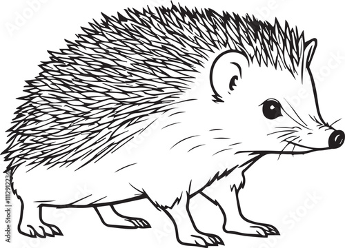 Adorable Hedgehog Illustration
