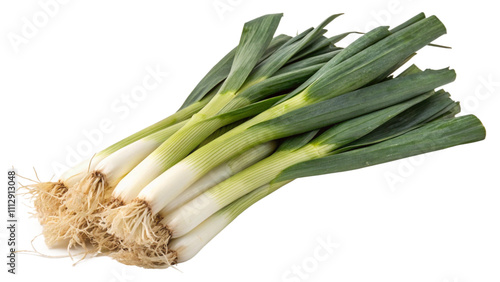 cluster of leek isolated on transparent background