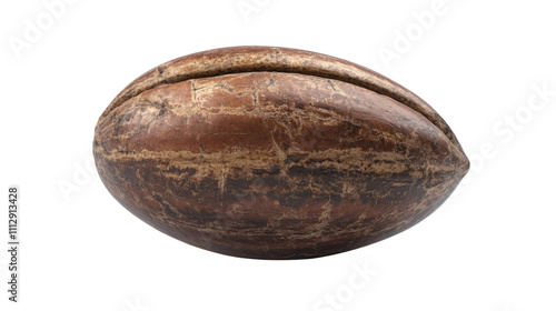 Walnut transparent background