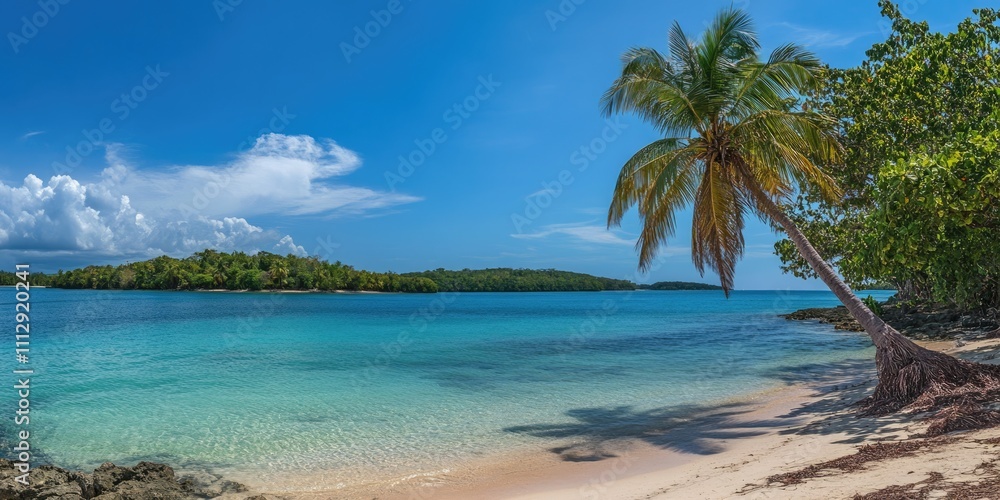 Tropical Paradise: Scenic Coral Beach Framed by Majestic Palm Trees under a Clear Blue Sky Tropical Paradise: Scenic Coral Beach Framed by Majestic Palm Trees under a Clear Blue Sky