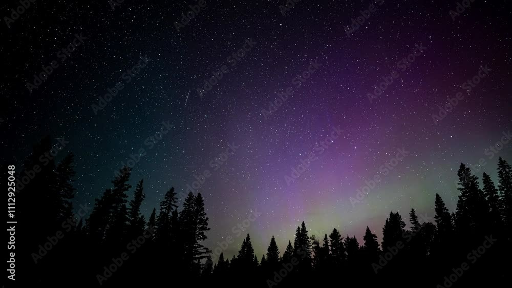 Time lapse of more than 50 meteors, stars and northern lights above silhouettes of trees