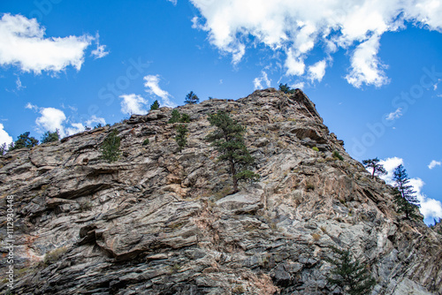 A rocky cliff with scattered evergreen trees against a bright blue sky and clouds. 