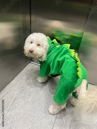 Dog in dinosaur costume