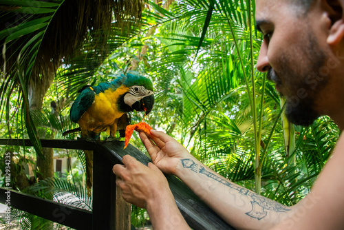 Man feeding papaya to a macaw  photo