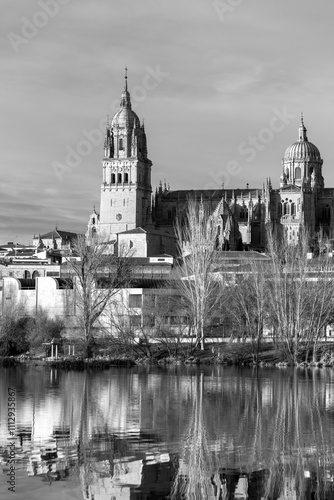 The New Cathedral of Salama...