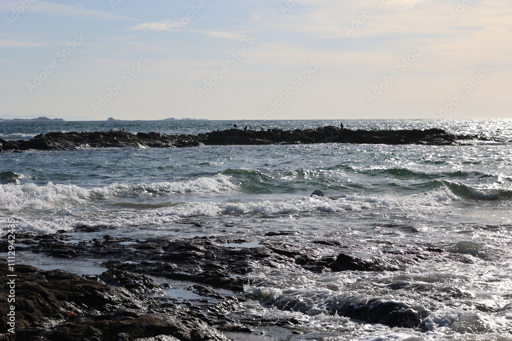 Aves, playa Aves, playa