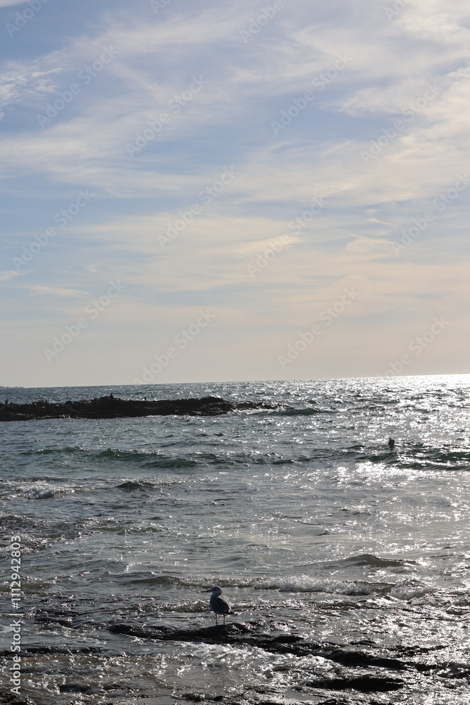Aves, playa Aves, playa