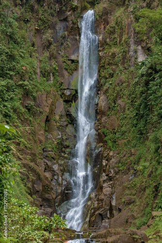 Tall Cascading Tropical Waterfall In The Jungle
 photo