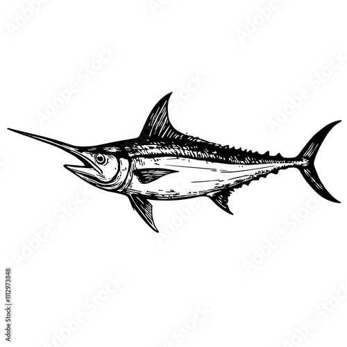 Swordfish sketch in black and white on white background