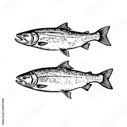 Two salmon fish in black and white hand-drawn style