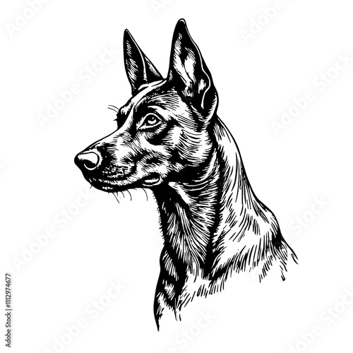 German Shepherd portrait in black and white woodcut style