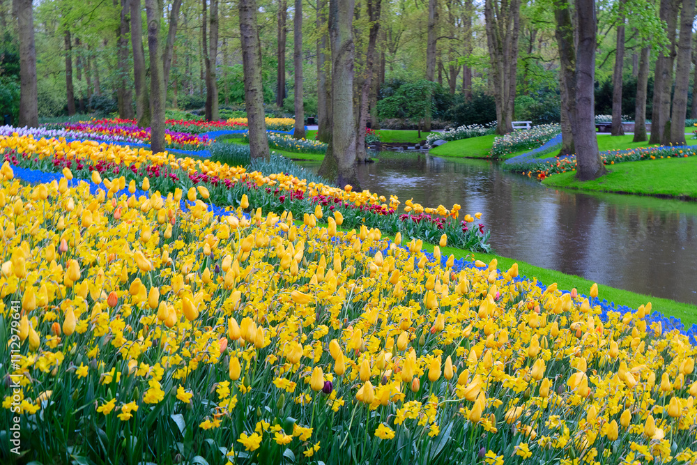 Fototapeta premium Colorful growing yellow and blue flowerbed in spring formal garden with river