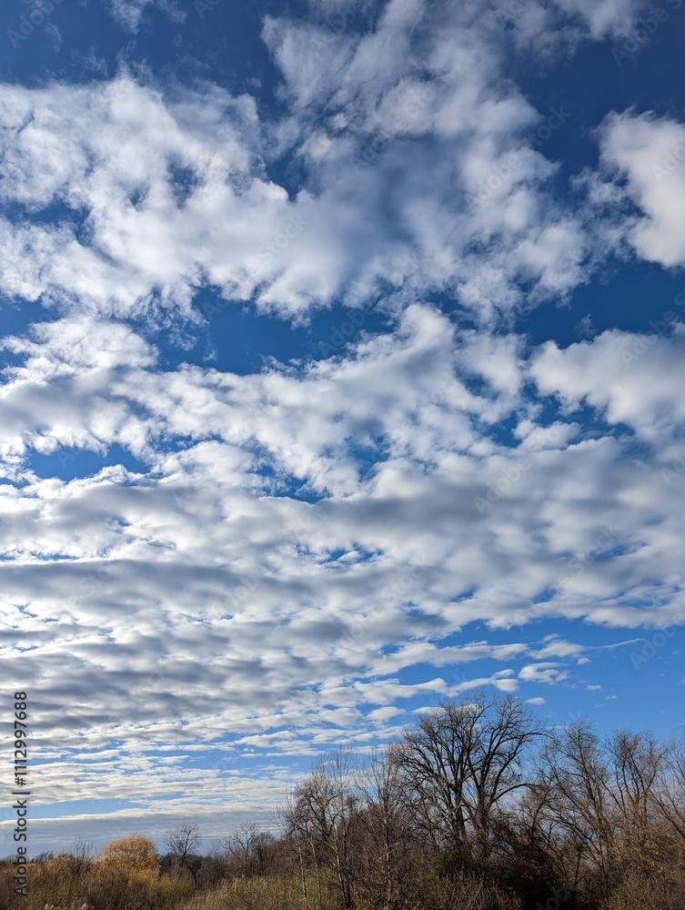 Big sky in the fall over a tree lined parkland in Iowa. Big sky in the fall over a tree lined parkland in Iowa.