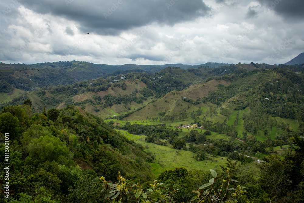 Obraz premium Preciosa fotografía panorámica de un paisaje natural tomada en el eje cafetero en Colombia.