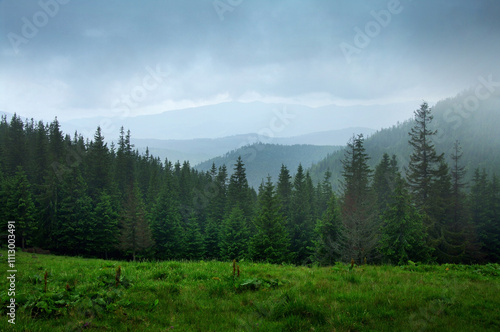 Ukrainian Carpathians mountain landscape with silhouettes of spruce trees in ...