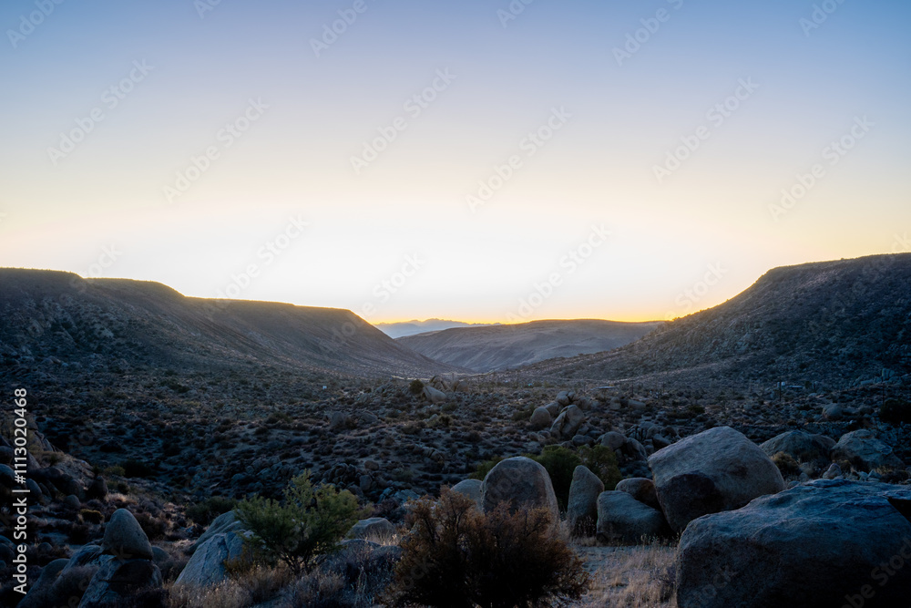 Obraz premium Evening Glow: Sunset at Joshua Tree National Park