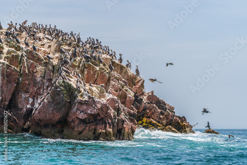 Paracas in Peru is a paradise for seabirds.