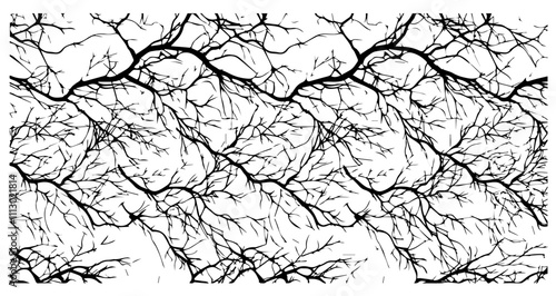 collection of organic black branches in various forms