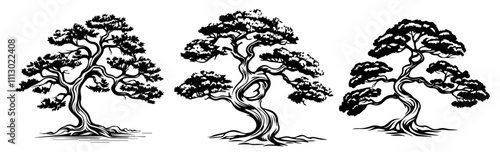 bonsai trees in intricate hand-drawn style – black vector illustration set