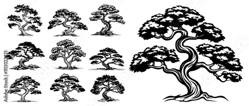 artistic bonsai tree collection natural and elegant black vector designs