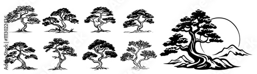 artistic sketch of different bonsai trees in black and white minimalist style