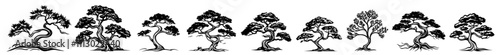 artistic sketch of different bonsai trees in black and white minimalist style