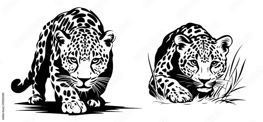 wild leopards in realistic hand-drawn ink style black vector wild leopards in realistic hand-drawn ink style black vector