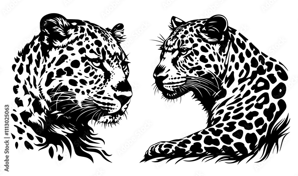 wild leopards in realistic hand-drawn ink style black vector wild leopards in realistic hand-drawn ink style black vector