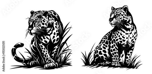 wild leopards in realistic hand-drawn ink style black vector