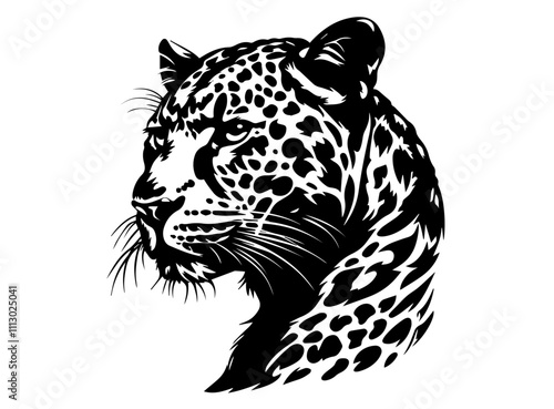 wild leopards in realistic hand-drawn ink style black vector