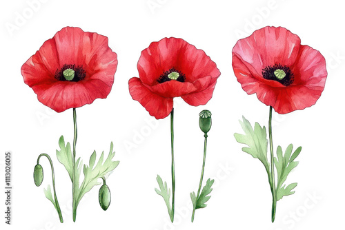 Obraz na płótnie Red poppy in watercolor technique, sparkling with bright petals w salonie
