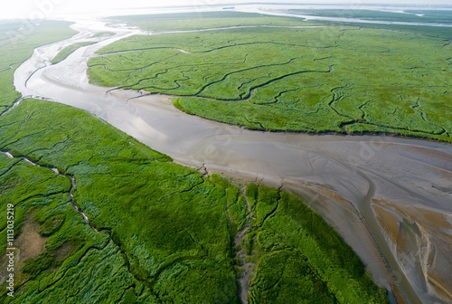 Aerial view of tidal channels and gullies, Saeftinge, The Netherlands photo